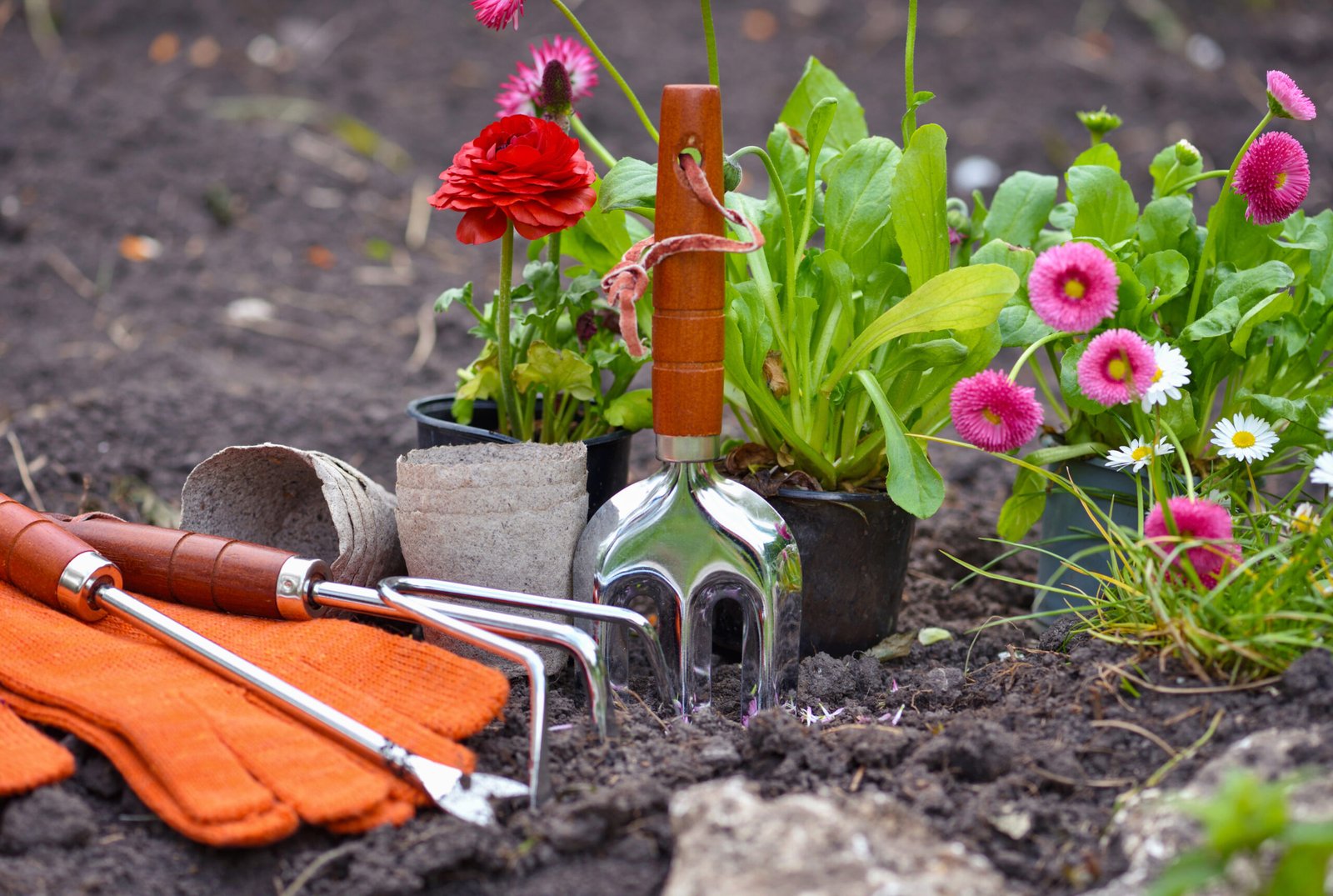 Über uns gardening tools and spring flowers in the garden. gardening conc